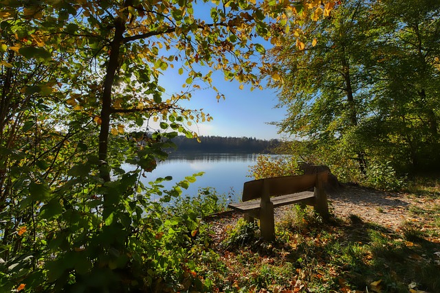 在这一背景 在这一背景