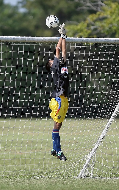 飆50分變種斑馬是養壞了嗎？ 頂級中鋒竟打得像杜蘭特.