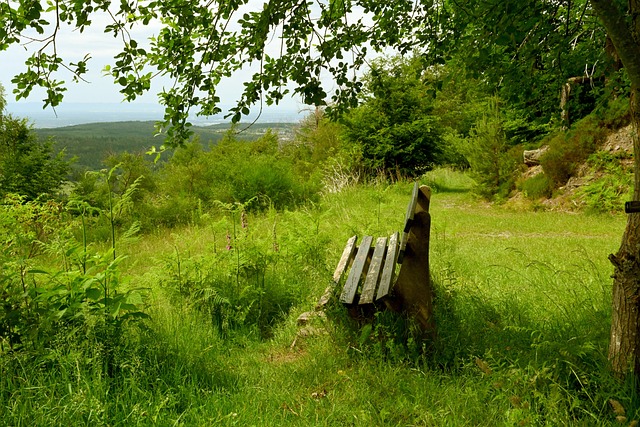 奧爾莫將正 奧爾莫將正