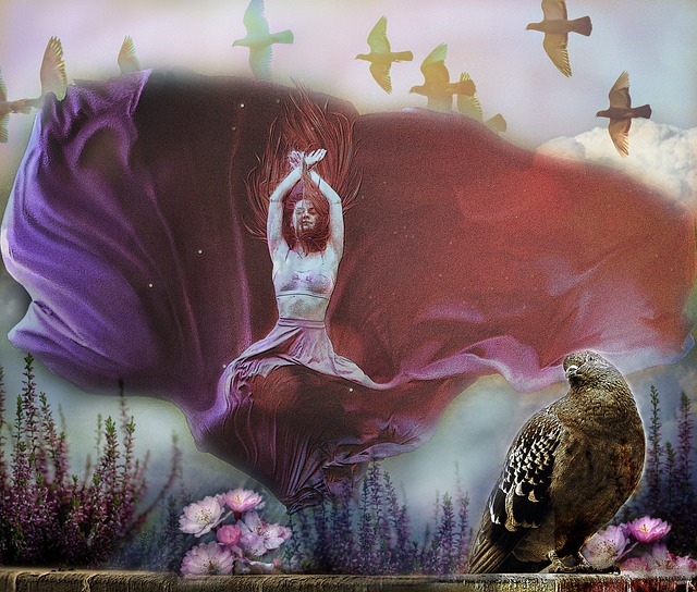 关注的可能 关注的可能